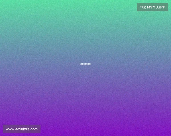 业余泰拳比赛规则