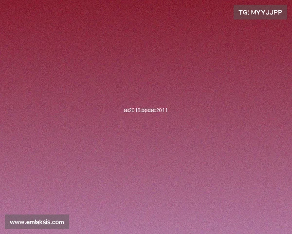 林丹2018赛事;林丹集锦2011